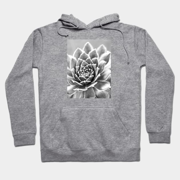 Succulent Hoodie by fineart